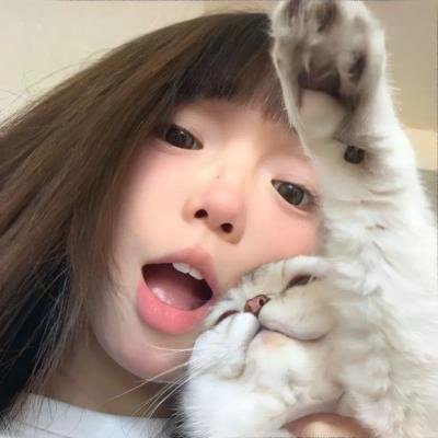 圣鹿之死